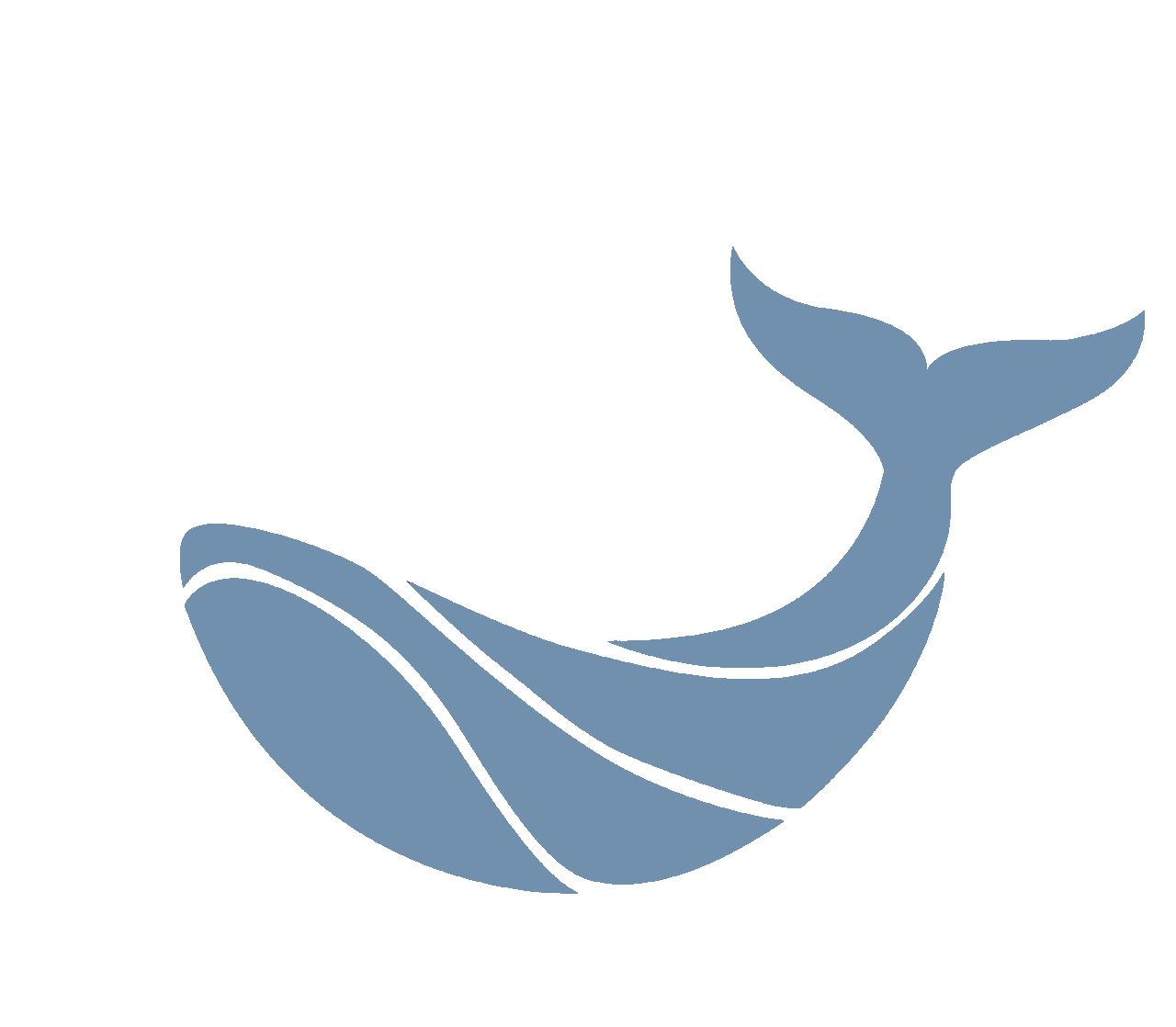 WhaleTale Logo Light